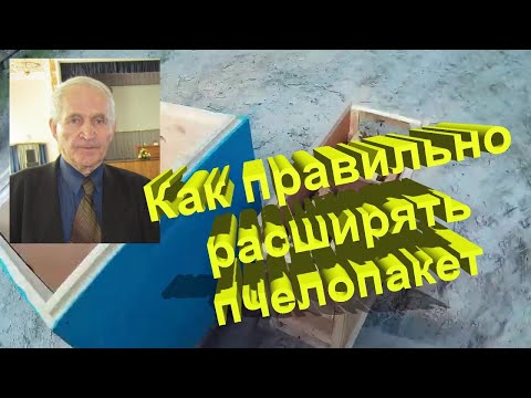 Видео: Профессор Кашковский: как правильно расширять пчелопакет?