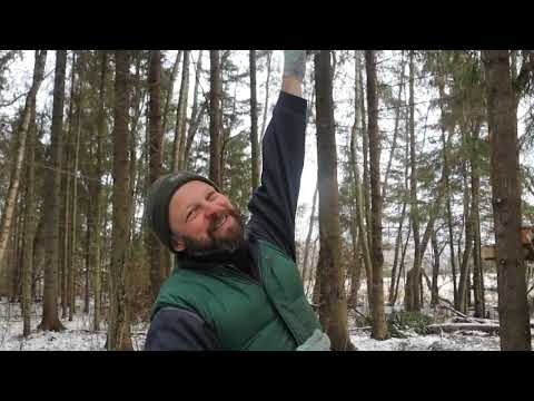 Видео: Изготовление борти для пчёл в живом дереве.