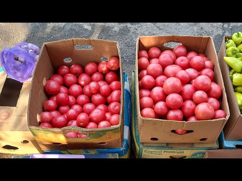 Видео: 1200 кг за виборку. Пінк світнесF1