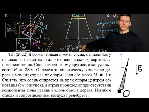 Видео: МФТИ 1й курс: момент инерции сосны, задача с семестровой кр