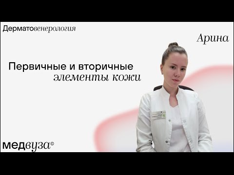 Видео: Первичные и вторичные элементы кожи | Дерматовенерология | Медвуза