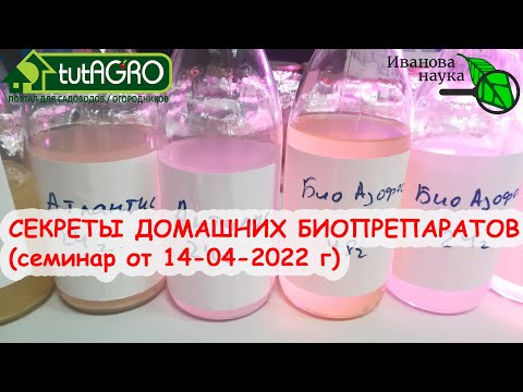 Видео: ВСЁ О ВЫРАЩИВАНИИ ДОМАШНИХ ПРЕПАРАТОВ: от закваски до оценки качества и использования.