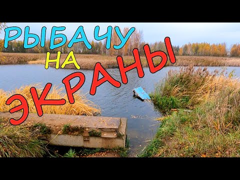 Видео: Поиск рыбы осенью. Рыбалка на экраны-телевизоры.