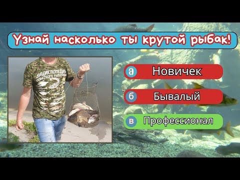 Видео: Узнай насколько ты крутой рыбак! Пройди небольшой тест на рыбака! Я люблю рыбалку