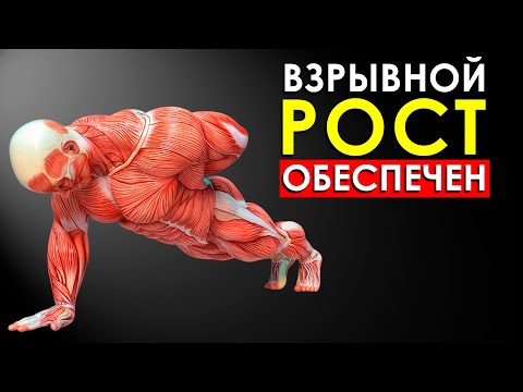 Видео: Что Будет с Телом, Если Отжиматься на Одной Руке Каждый День