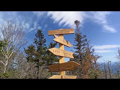 Видео: Гора Фалаза , Приморский  край, Анисимовка  #поход#горы#приморскийкрай#фалаза#