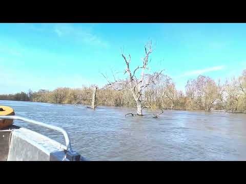 Видео: Пришла вода с Казахстана, добираемся на лодке до большой земли!