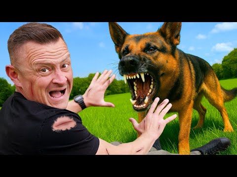 Видео: Как ОСТАНОВИТЬ нападение собаки ДО того, как это произойдет!