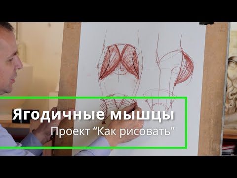 Видео: Как рисовать "Ягодичные мышцы" - А. Рыжкин