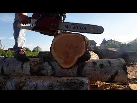 Видео: Мотор січ 470 проти STIHL - МС 361.