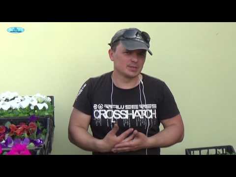 Видео: Как начать бизнес на выращивании цветов - наш опыт.
