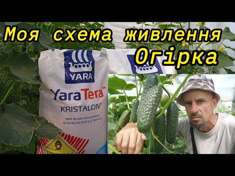 Видео: Кореневе живлення огірка. Yara Tera. Для постійного плодоношення.