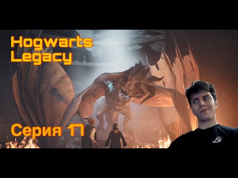 Видео: ДРАКОНЬИ БОИ. Hogwarts Legacy. Серия 17