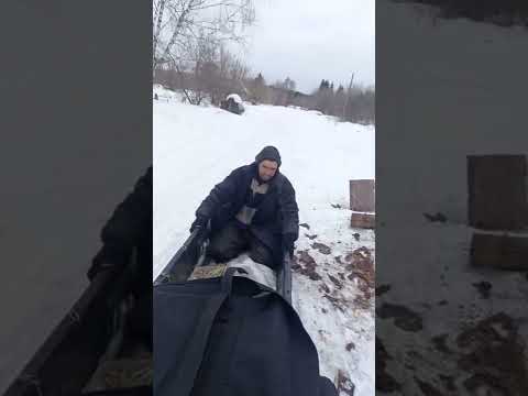 Видео: Ячменюха зимой