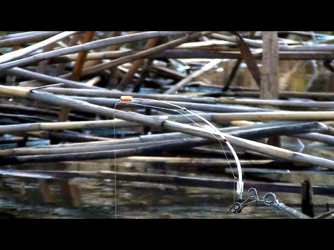 Видео: Боковой кивок весной в камыше.Клюнул нежданчик!!