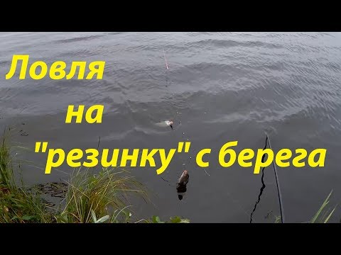 Видео: Ловля на резинку с берега, рыбалка на леща