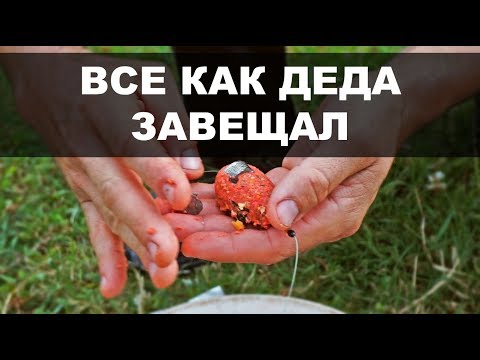 Видео: Если карп не клюет! Секретная наживка дедов! Как ловить карпа.