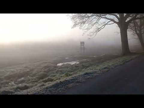 Видео: #Посёлок Мысовка Славского района Калининградской области
