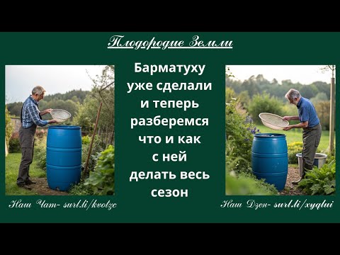 Видео: Как применять барматуху. Этапы содержания и способы применения № 51/25
