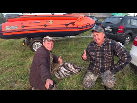 Видео: Отличная рыбалка по СУДАКУ с ДМИТРИЕМ СТЁПКИНЫМ. ЛАДОГА, СВИРЬ.Судак на троллинг (дорожка)