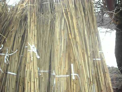 Видео: пасіка з очерету