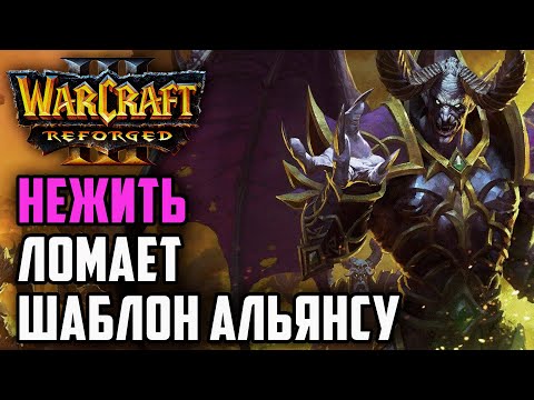 Видео: НЕЖИТЬ ЛОМАЕТ ШАБЛОН АЛЬЯНСУ: Starbuck (HUM) vs Mango (UD) Warcraft 3 Reforged