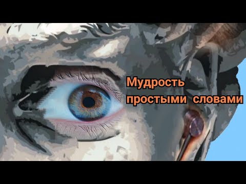 Видео: Мудрость простыми словами