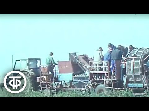 Видео: Забота о людях - вопрос комплексный. Новости. Эфир 20 сентября 1980