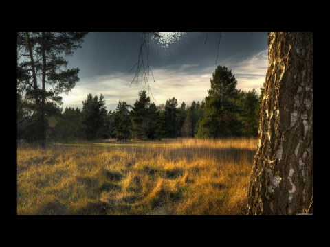 Видео: То не ветер ветку клонит.Фолк театр "Забайкалье"