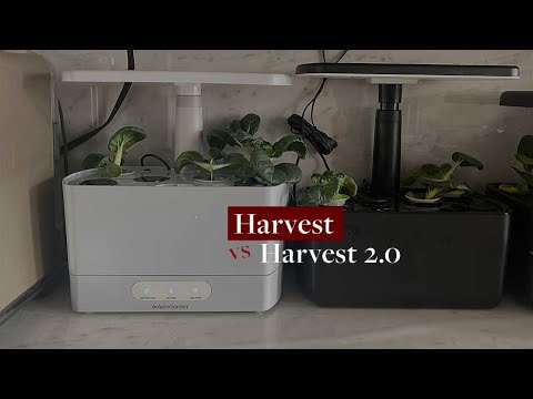 Видео: Aerogarden Harvest 2.0: действительно ли это обновление?