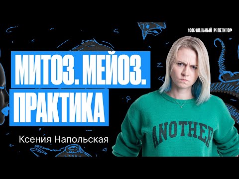 Видео: Митоз. Мейоз. Практика. ЕГЭ по биологии 2024 | Ксения Напольская