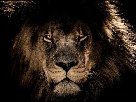 Видео: Мужской разговор: Критерии здоровья мужской половой системы