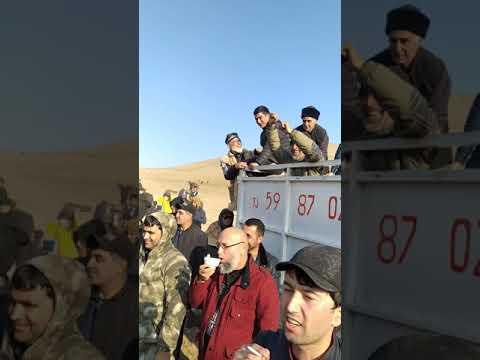 Видео: Бузкаши дар Нохияи Темурмалик кишлоки Девона Бобо Рачабали Човандоз