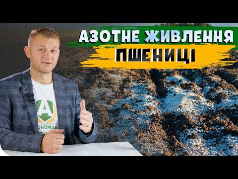 Видео: СКІЛЬКИ АЗОТУ ТРЕБА ПШЕНИЦІ І КОЛИ? #СучаснеЖивлення