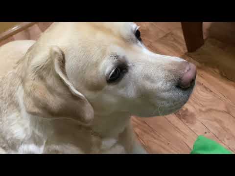 Видео: Реакция на детей 🤗 Ночной суп