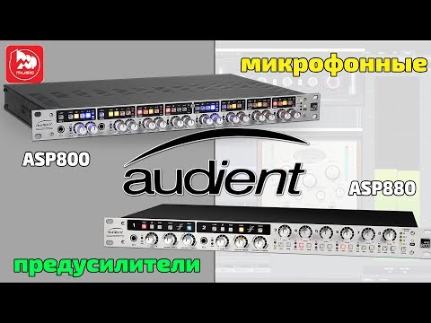 Видео: Предусилители AUDIENT ASP800 и Audient ASP880