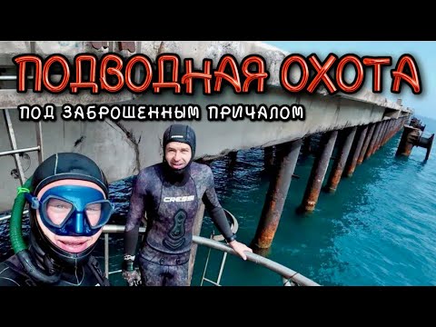 Видео: Подводная охота под заброшенным причалом // Сагунто, Испания 🇪🇸