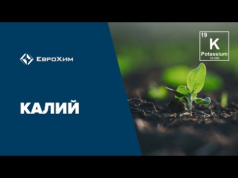 Видео: Калий. Особенности калийного питания и причины дефицита калия в почве
