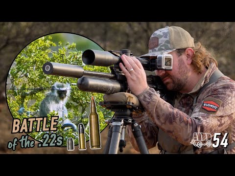 Видео: Битва калибров .22: Пневматика против кольцевого воспламенения против центрального воспламенения ...