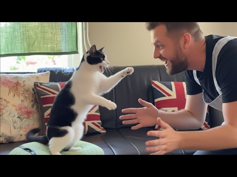Видео: Когда ваш кот копирует каждое ваше движение, вы не поверите! 😹