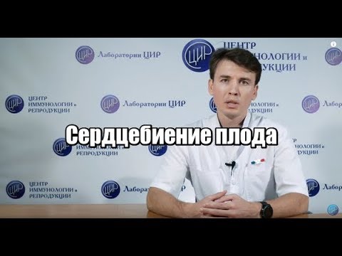 Видео: Сердцебиение плода при УЗИ, сроки, нормы