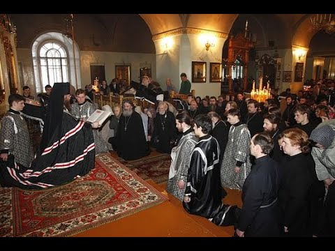 Видео: 273.Дисциплинарная исповедь