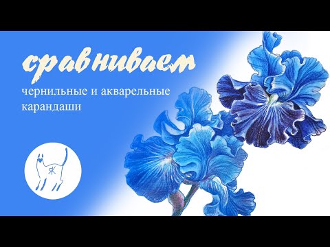 Видео: Чернильные карандаши VS акварельные карандаши. Которые лучше?