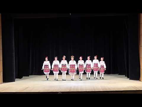 Видео: Концерт посветен на 24 май и 1 юни на ТА "ТРЯВНА" и Детски танцов състав