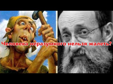 Видео: Человека неразумного нельзя жалеть. Рав Ашер Кушнир