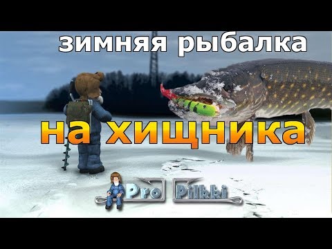 Видео: ЗИМНЯЯ РЫБАЛКА НА ХИЩНИКА - Pro Pilkki 2