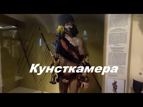 Видео: Кунсткамера