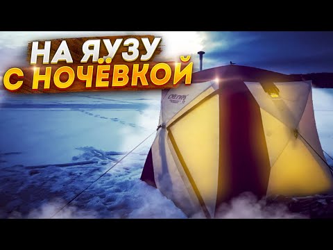 Видео: ПОЙМАТЬ ЕЕ ЛЮБОЙ ЦЕНОЙ. РЫБАЛКА С НОЧЕВКОЙ НА ЯУЗЕ.