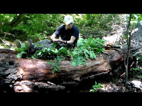 Видео: 🐾 Техника примитивного бушкрафта и выживания  Вода, укрытие, огонь, еда