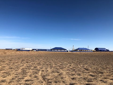 Видео: Шалкар су